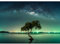 Runa Art Fotomurales Aurora boreal Árbol Cielo nocturno 352 x 250 cm Fondo De Pantalla XXL Moderna Decoración De Pared Sala Cuarto Oficina Salón Verde 9590011a