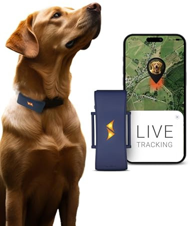 PAJ GPS Tracker für Hunde - 4G - Weglaufalarme + weltweite Live-Ortung - Akkusparmodus in Routernähe - Hunderückruf - mit Leucht-LEDs - Wasserdicht (IP67) - passt an jedes Halsband - dunkelblau