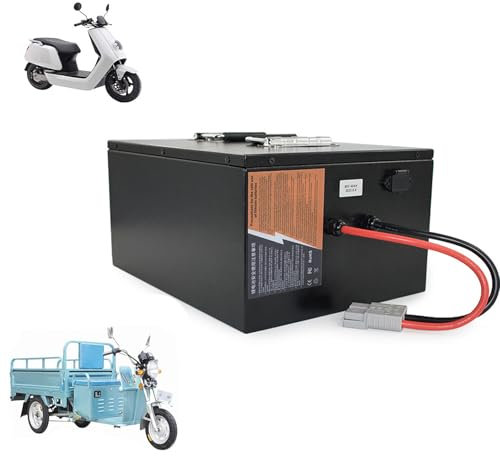 HJGHY Batteria al Litio Ferro fosfato Lifepo4 per Moto 60V Batteria per Carrello elevatore Elettrico 60V 100Ah 80Ah 60Ah 40Ah Batteria al Litio di accumulo di energia,60v,40Ah