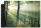 ARTLAND Wanddeko Poster & Kunstdrucke Wandposter 60x40 cm Querformat Landschaftsbilder Wald Natur Sonne Bäume Landhausstil U1VX