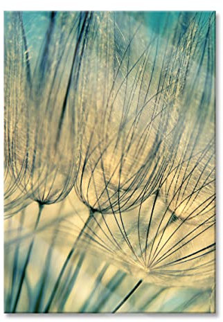 Pixxprint Glasbild, Wandbild aus Echtglas, Pusteblumen, 60x80 cm, inkl. Aufhängung und Abstandshalter