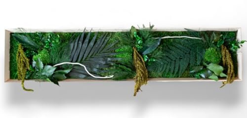 Générique tableau végétal stabilisé RIO BOIS sans entretien - tableau de plantes et décoration murale d'intérieur, plantes et fleurs éternels made in France