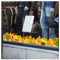 Herbstliche Aufkleber in Farbe in buntem Blätter-Design. Fenster-Aufkleber von Stickers4., Border