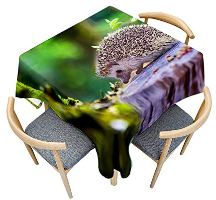 Morbuy Tischdecken Quadratisch, Igel Muster Tischdecke Wasserdicht Lotuseffekt Küchentischdecke Abwischbar Tischtuch für Dekoration Restaurant Garten Outdoor (120x120cm,Igel-Muster)