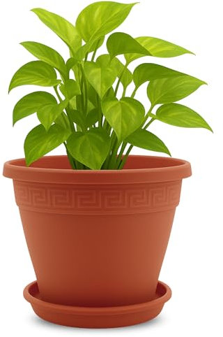 TECHZOCO Macetero con Plato, Maceta Redonda clásica de plástico con Plato, Tiesto para Plantas, Fabricado en Polipropileno, 19 cm Altura x 25 cm Diámetro Superior x 13 cm Diámetro Base, Terracota