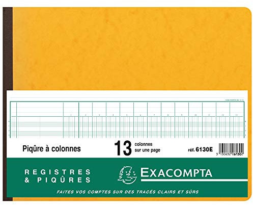 EXACOMPTA Piqûre 25x32cm 13 colonnes sur 1 page 31 lignes 80 pages