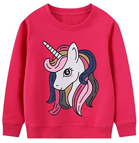 JinBei Sweatshirt für Mädchen Pullover Kinder Baumwolle Top Casual Jumper Kleinkind Pferd Einhorn Pferd Druck Langarmshirt Sweater, Herbst Winter Frühling Schule Täglich 6-7 Jahre alt