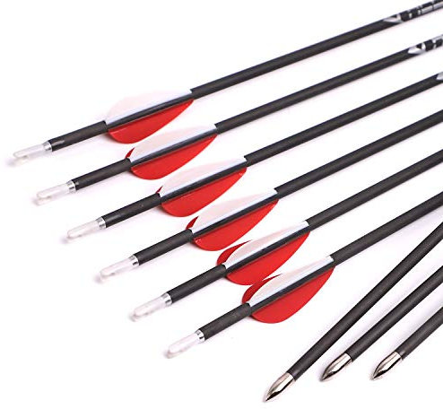 ACCMOS 12 Stück 29 Zoll Carbonpfeil Spine 1000 ID 4,2 mm Targeting Arrows, für Recurve-Bogen Compoundbogen Jagd oder Bogenschießen Praxis (Spine 1000)