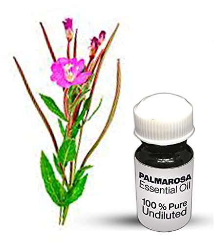 Palma Rosa Olio Essenziale / 100% Pure Palma Rosa Non diluito Olio Essenziale Premium Quality (250 ML)