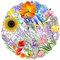 Flowers & Plants Waterproof Stickers for Boys Girls Teens Kids, Unique Vinyl Stickers for Laptop Flasks Luggage Water Bottle Cup Phone Tablet Notebook, Exquisite Decals Pack[Flowers & Plants-50Pcs]