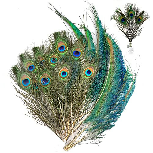 20 Stücke Natürliche Pfauenfedern Deko Künstliche Pfau Feder Deko Pfau Schwanzfedern Pfauenaugenfeder Dekorativ Pfauenfedern Natürliche Pfau Federn Set für Hochzeit Basteln Partydekorationen