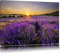 Pixxprint Lavendelfeld in Frankreich, Größe: 120x80cm, Leinwandbild, fertig gespannt, Wandbild, Dekoration, Kunstdruck, kein Poster