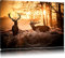 Pixxprint Hirsch Rivalen kämpfen, Größe: 80x60cm, Leinwandbild, fertig gespannt, Wandbild, Dekoration, Kunstdruck, kein Poster