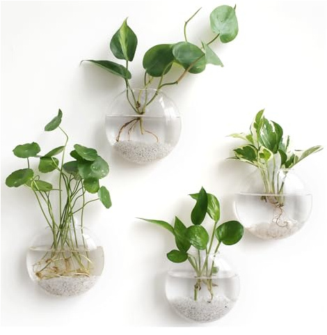 Mkono 4 Pack Glass Wall Hanging Planter Wall Mounted Plant Vase Indoor Air Plants Terrariums for Home Office Living Room Decor, Oblate