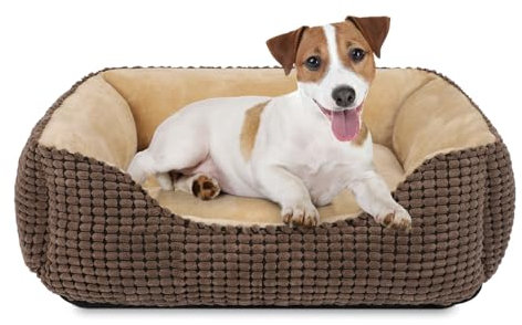 JOEJOY Hundebett Mittelgroße Hunde, Hundekorb Waschbar Flauschig, rutschfeste Plüsch Hundebetten, 63x53x20cm, Hundekörbchen für Kleine und Mittlere Hunde und Katzen