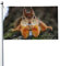 Flagge, Lustiges Eichhörnchen Flagge lustige Flaggen 5 Ft x 3 Ft mit Ösen, Festival Party UV-beständig Polyester Fahnen für Terrasse Garten