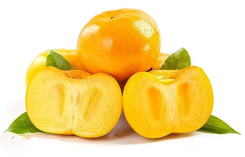 30 Stücke kakibaum winterhart kaufen - kaki baum pflanze - sapote frucht, winterharte pflanzen für garten (Diospyros kaki) topfblume pflanzen, bonsai baum bäume garten winterhart