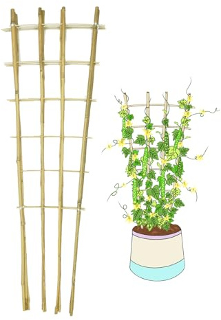 Natural Bamboo Trellis, 4Feet,3Pack,Fan-Shaped Plant Support Trellis for Outdoor and Indoor Potted Climbing Plants,Vegetables, Cucumber, Tomato, Hoya, Wisteria,Ivy,Orchid, Jasmine Monstera, Vine,