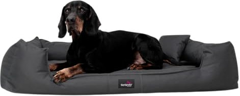 tierlando® Orthopädisches Hundebett Goofy inkl. Matratzenschoner für große Hunde Polyester Waschbar Hundesofa XL XXL XXXL G3 90cm - 02 Graphit