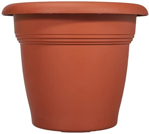 Stefanplast Mediterraneo Vaso, Marrone, 24 cm