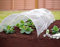Garden Mile® - Mini tunnel serra in polietilene da giardino a campana da 1,5 m da usare come germinatoio o per proteggere le piantine dal gelo, dimensioni: 1,5 m x 45 cm x 45 cm