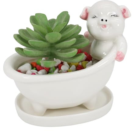 Gemseek Pot de fleurs en céramique avec plateau de drainage pour cactus et fleurs Blanc