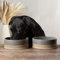 Scruffs Scandi 2 Piece Non Tip Pet Food & Water Bowl - 20cm - Grey