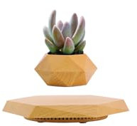 Hängende Blumentöpfe, schwebender Blumentopf, magnetisch, schwebender Blumentopf, hängender Blumentopf, schwimmender Blumentopf, hängender Blumentopf, hängender Blumentopf, hängende Blumentöpfe ()