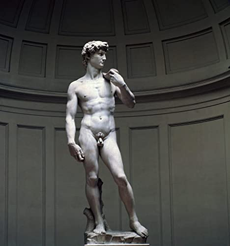PTLYE Klassische Malerei Leinwand Wandbild Michelangelo David Von Michelangelo Buonarroti Moderne Leinwand Bilde für Bürodekoration 60x90cm