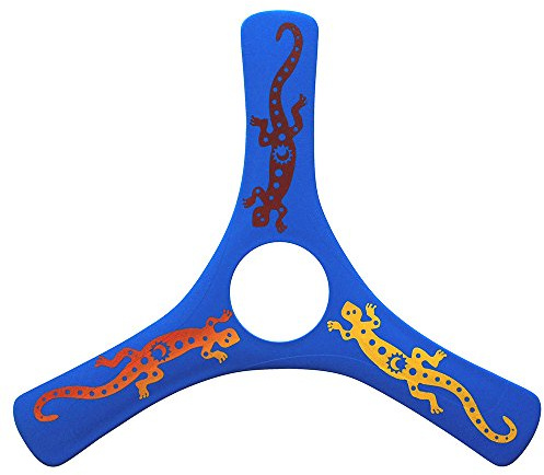 LMI and FOX Boomerang, Lmisrd