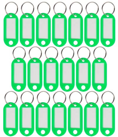 WINTEX 100x Schlüsselanhänger beschriftbar - Strapazierfähige Schlüssel Anhänger mit Etiketten - Farbige Schlüsselanhänger zum Beschriften für Organisation oder Reisen - Grün