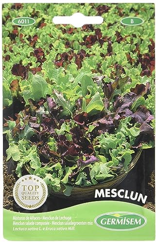 Germisem Mesclun Semi di Insalata Mix 4 g