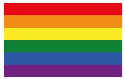 Aufkleber Regenbogen Rainbow Pride Flag Gay Lesbian Regenbogen Rainbow Flagge Fahne 8 x 5 cm Autoaufkleber Sticker LGBTQ+ LGB
