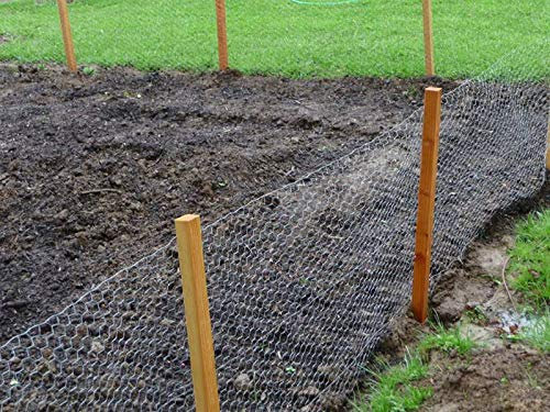 Chicken Wire Fence Kit - 1 roll 4ft x 50 meter chicken netting, 15 x 2 square wooden stakes & fencing staples