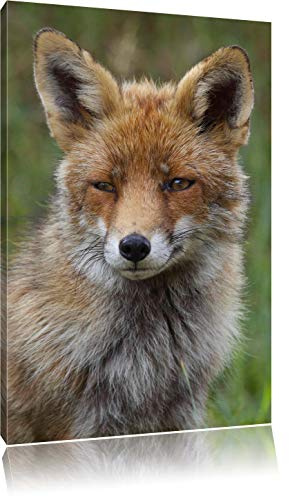 Pixxprint schöner Fuchs, Größe: 60x40cm, Leinwandbild, fertig gespannt, Wandbild, Dekoration, Kunstdruck, kein Poster