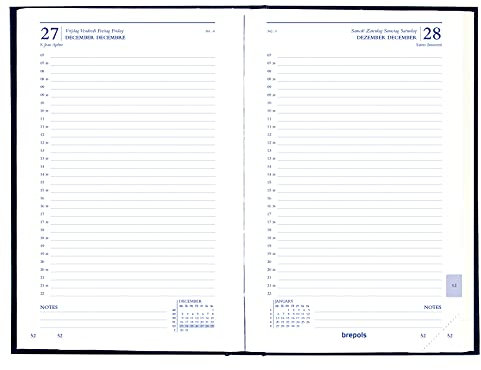 Brepols – 1 Tag pro Seite Tagebuch – Caravelle T Square Format – 14 x 22 cm – Vintage 2018