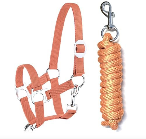 Halfter Führstrick Set mit Karabinerhaken verstellbar Pferdehalfter Pferd Holzpferd Anbindestrick (Karabinerhaken Orange, Pony)