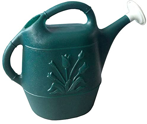 Union Products Watering Can, 2 Gallon Plastic Gardening Water Jug with 2 Handles for Garden, Indoor Plants, and Outdoor Flower Pots, Green