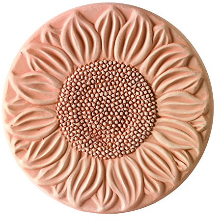 PASSI IN TERRACOTTA DA GIARDINO (5 PEZZI) PAVIMENTAZIONE PER ESTERNO -PIASTRELLE; LUNGHEZZA CM. 29, ALTEZZA CM. 20, PROFONDITA' CM. 2,5 MADE IN ITALY