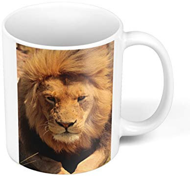 Fabulous Mug Céramique Gros Plan Lion Male de Face Vie Sauvage