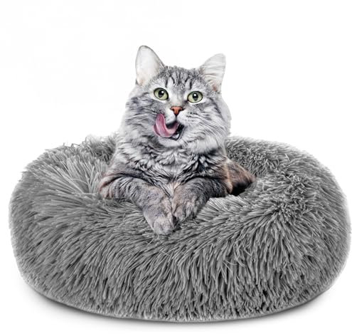 Amazinggirl Katzenbett flauschig Katzenkissen ∅ 60 cm - Katzen Bett Kuschelkissen Katzenkorb zum Schlafen und Kuscheln Cat Bed Katzenkörbchen Bettchen und Schlafplatz für Katze