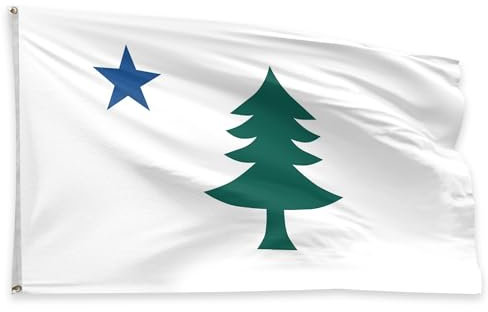 Moordyses Flagge für Zimmer, Garten und Außenbereich, 7,6 x 12,7 cm, 11 Südstaaten, Polyester, 100D, mit Messingösen, Weiß