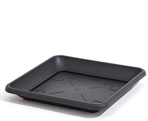 Plateau soucoupe en plastique TERRA 34 cm carré, anthracite couleur