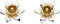 Dew Sterling Silver and Gold Plate Carey Daffodil Stud Earrings 4230GD