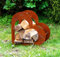 Herz aus Metall Holz Regal Rost Edelrost Holzregal Garten Terrasse - Deko - SET!! (S)