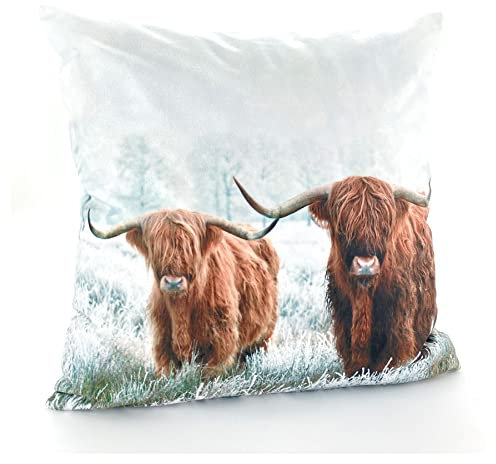 heimtexland ® Dekokissen Bezug Winter Tiere Foto Digitaldruck Kuschelige Velour Kissenhülle 40x40 Deko Kissen Typ831 Büffel