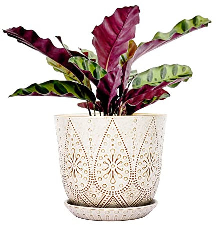 Gepege Maceta de 8 pulgadas, Maceta Grandes de Cerámica Blanca Cremosa con Agujeros de Drenaje y Platillos para Plantas de Interior y Exterior