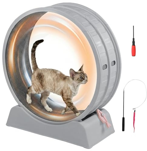 LEADZM Roue d'exercice pour Chat 80cm - Roue pour Chat pour 15 kg et Moins Chats - Connecteur de Rail en Plastique, résistant aux Rayures, Stable et Silencieux (Gris)