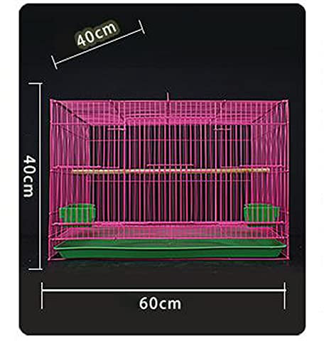 Cage Oiseaux Oiseau Cage Pigeon Cage Tigre Perroquet Perroquet Wen Oiseau Blanc Yeux alouette Cage Oiseau Grand surdimensionné Maison Universelle Cage (Size : D)