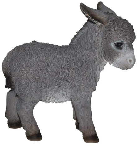 Vivid Arts XRL-BDON-D Esel-Baby, grau, Kunstharz Gartendeko (Größe D)